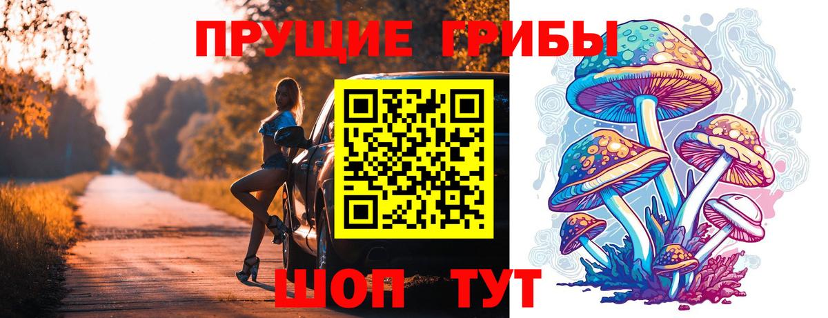 Псилоцибиновые грибы Psilocybe Гатчина