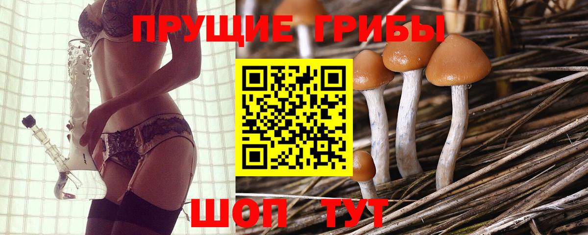 Гатчина  Галлюциногенные грибы мухоморы  Псилоцибиновые грибы GOLDEN TEACHER  наркотики  Вход с VPN 